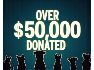 Graphical representation of donations reaching over $50,000, with happy dog silhouettes
